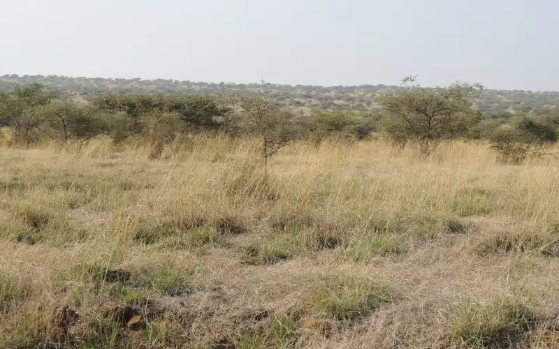 Rendez-vous en terre inconnue : Frédéric Lopez et Kendji Girac fêtent les 20 ans de l’émission au Kenya